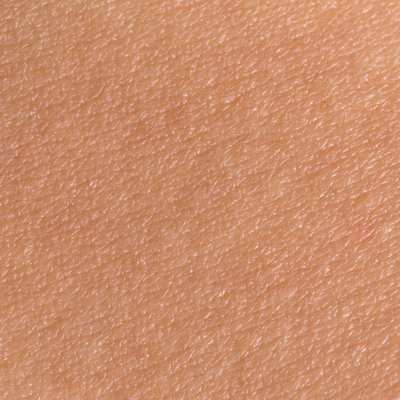 What is the skin barrier?